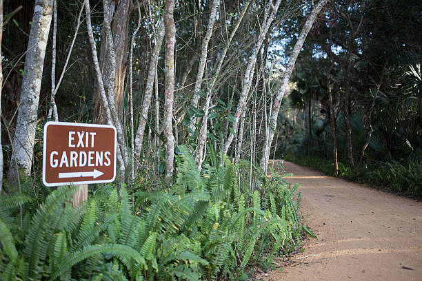 istock Washington Oaks state park of florida 601904366