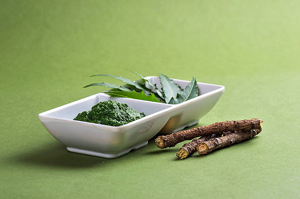 istock Medicinal Neem leaves paste and leaves with twigs 601905928