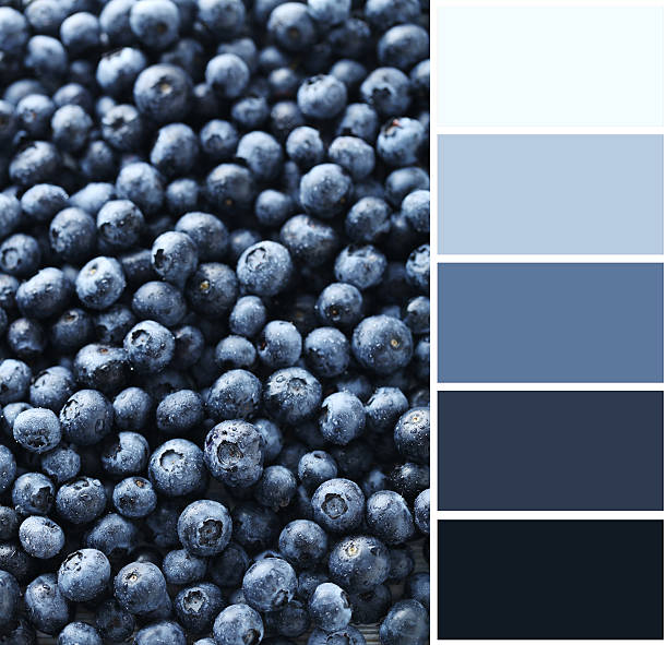istock Ripe and tasty blueberries background with color palette 601907020