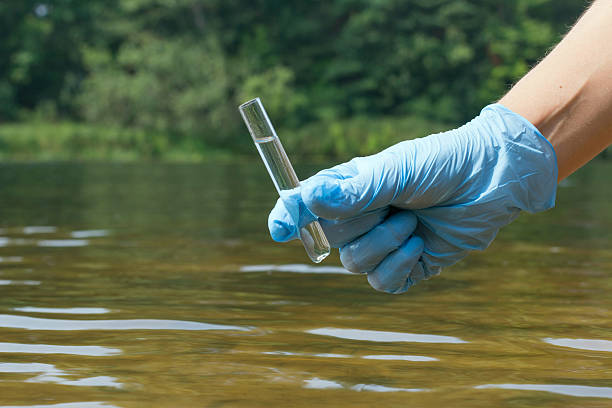 sample water from the river for analysis. hand in glove - groundwater imagens e fotografias de stock