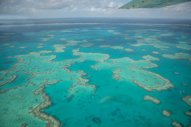 Aerial view of the Great barrier reef in the Whitsundays Islands.