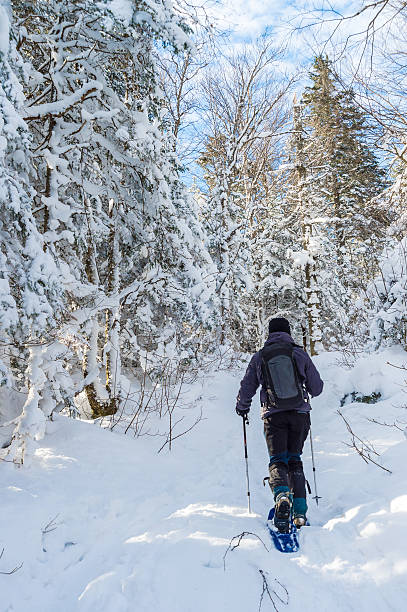 istock Young man snowshoeing in winter 601908446