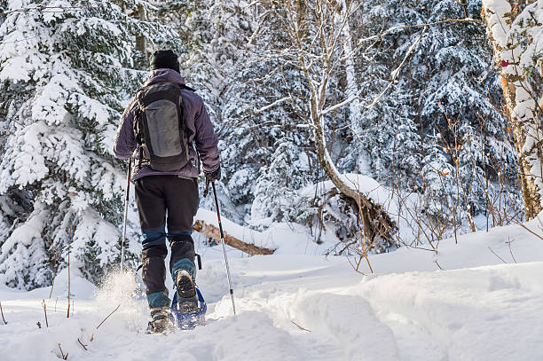 giovane con le ciasli in inverno - snowshoeing foto e immagini stock