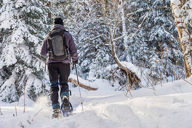 Young man snowshoeing in winter stock photo