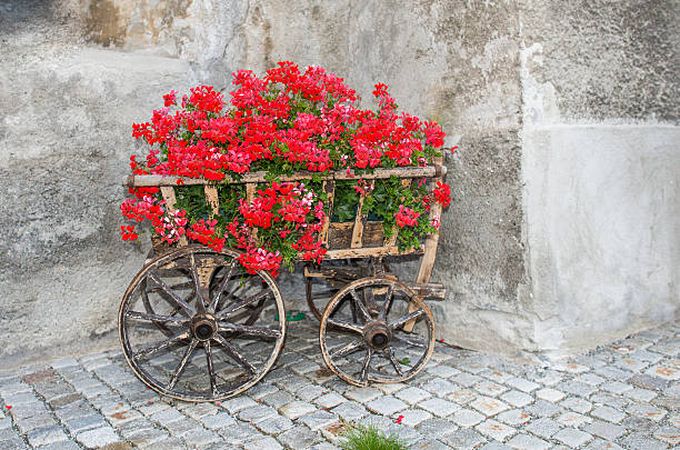 istock Antique wagon with red flowers 601908540