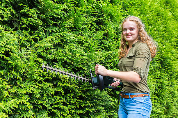Young dutch woman holding hedge trimmer at conifers Young caucasian woman holding hedge trimmer at green conifers. The dutch teenage girl is 18 years old and on this sunny day in summer she begins to cut of the long branches of this conifer hedge. In growing season you have to prune these bushes at least once a year. chamaecyparis stock pictures, royalty-free photos & images