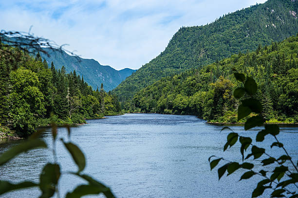 istock Panoramic view Jacques Cartier National Park 601911186