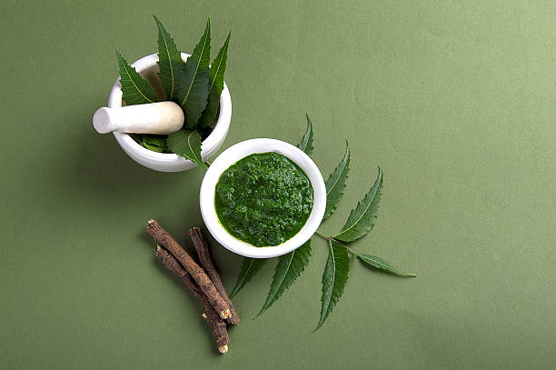 neem médicinal - ayurveda herb alternative medicine herbal medicine photos et images de collection