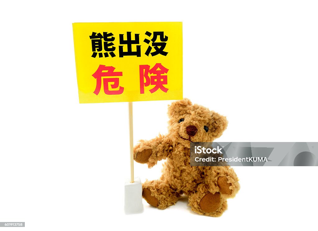 Bear infestation danger! A stuffed animal of bear has "bear infestation! Danger" and a written board. Alertness Stock Photo