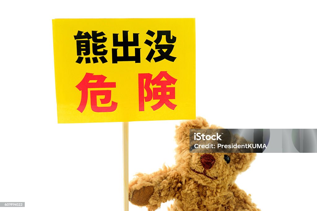 Bear infestation danger! A stuffed animal of bear has "bear infestation! Danger" and a written board. Alertness Stock Photo