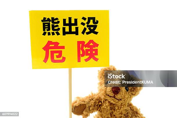 Bear Infestation Danger Stock Photo - Download Image Now - Alertness, Animal, Animal Themes