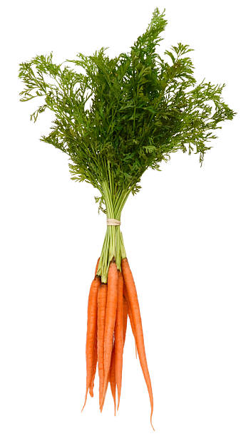 istock Isolated Bunch of carrots 601914298