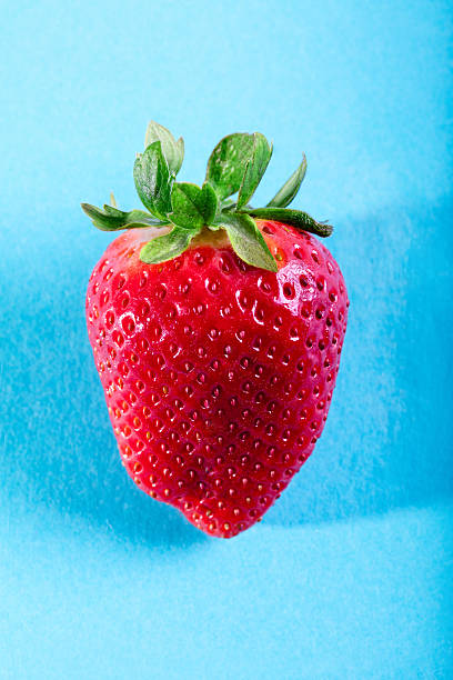 istock One juicy strawberry on blue background 601920364