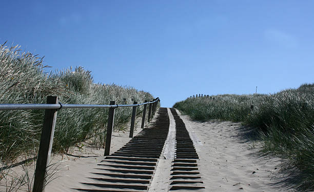 ruta de dunas - sandweg fotografías e imágenes de stock