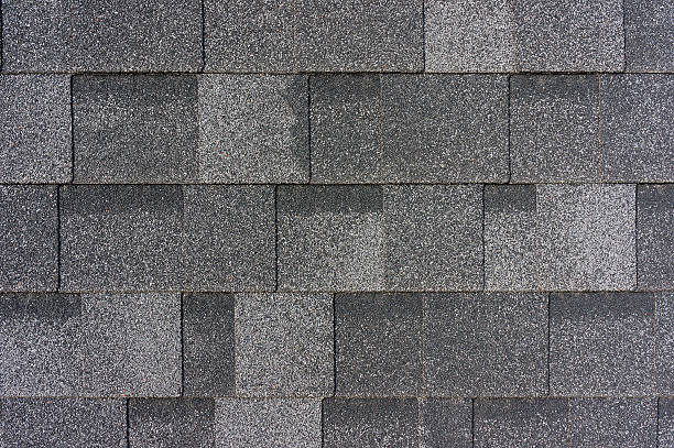 지붕 타일 애니메이션 - roof pattern 뉴스 사진 이미지