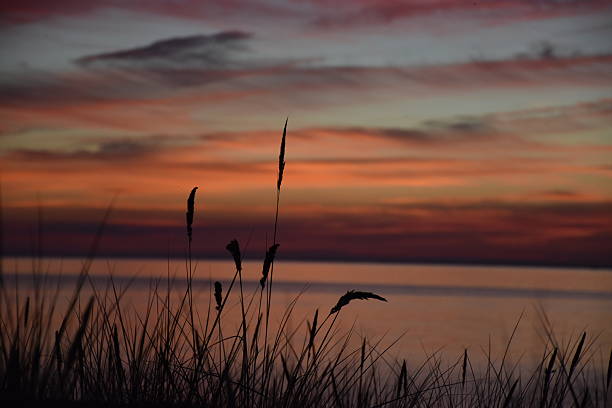 istock sun set at the Baltic Sea 601925884