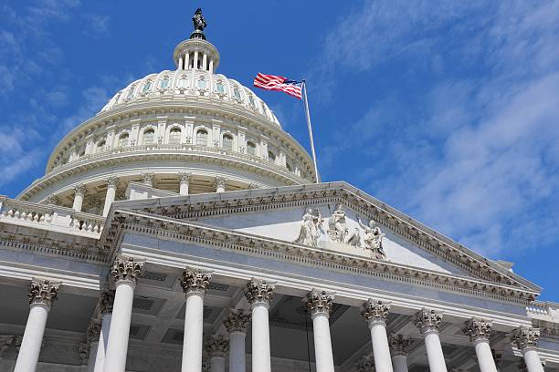 미국 국립 카피톨 - capitol building usa capitol hill built structure 뉴스 사진 이미지