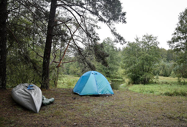istock tourist camp in the woods 601930230