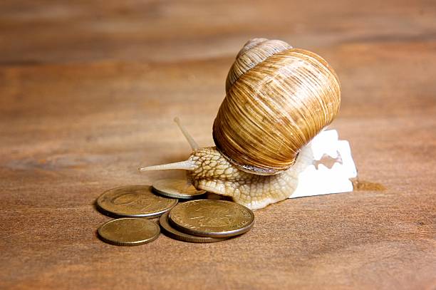 istock Garden snail creeps from a blade to the coins 601931408