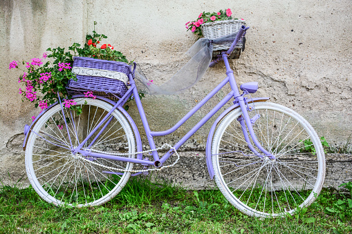 Pretty purple bicycle filled with ornamental flowers used for landscaping a garden propped against a rough plaster white wall on green grass.