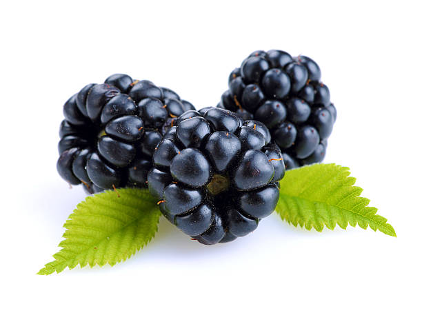istock dewberries (blackberries) and green leaves 601938040