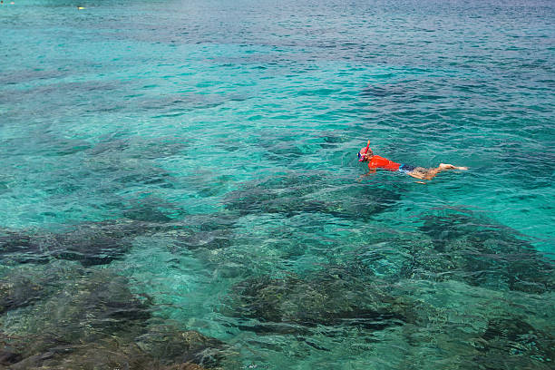 istock Man snorkeling in blue Indian ocean 601939226