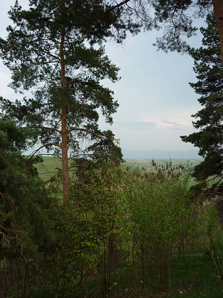 istock Landscape of the Transylvanian Basin 601941366
