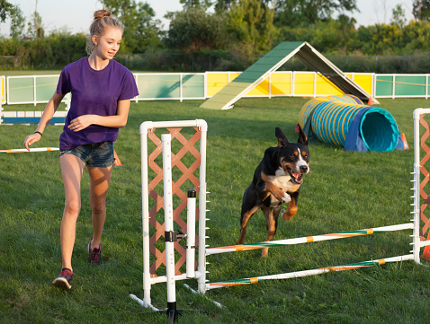 Dog and handler running together in agility course competition