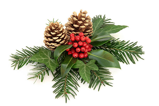 istock Winter Holly Berry Decoration 601942024