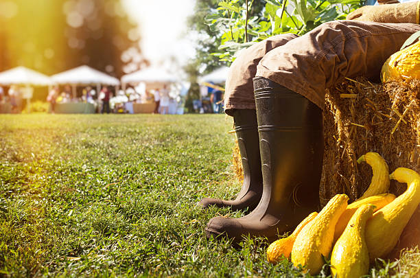 Autumn Harvest Festival background.