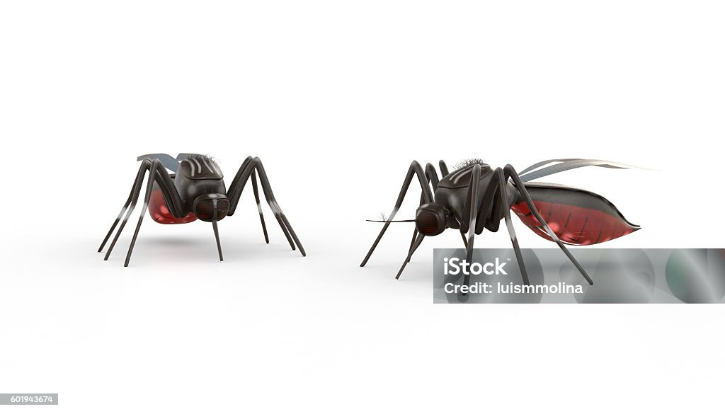 Isolated Mosquito Isolated Mosquito, 3D artwork Dengue Fever - Fever Stock Photo