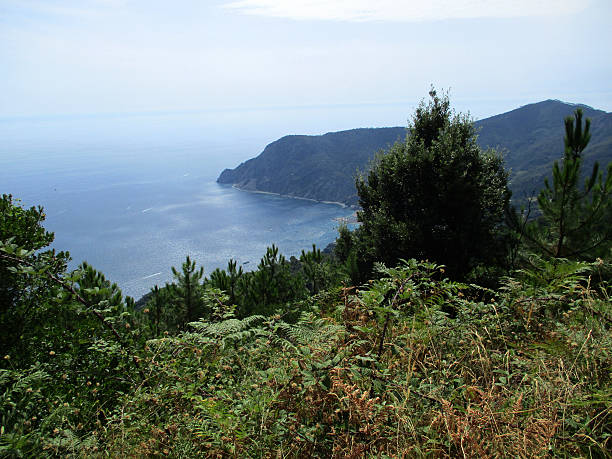 istock top view the gulf of 5 Terre c 601945128