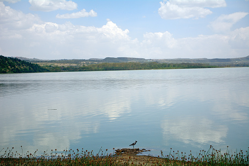 Lake Elementeita in Kenya.