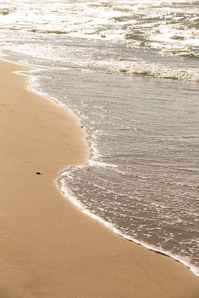 istock sea waves gently swapping on the sandy beach 601948178