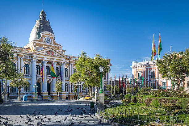 plaza murillo y palacio de gobierno boliviano - la paz, bolivia - bolivian culture fotografías e imágenes de stock