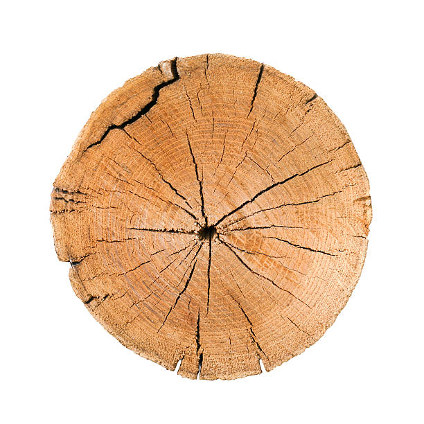 istock Aged Rough Brown Wood Tree Rings with Cracks 602286782