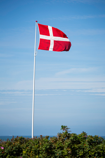 Danish flag on the pole 