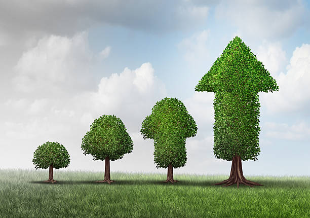 istock Concept Of Growing Success 602288468