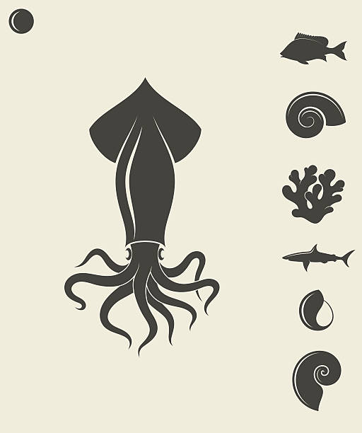 Sea life. Set Vector illustration (EPS) loligo stock illustrations