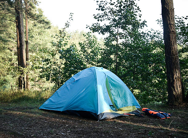 istock tent in the woods 602290008