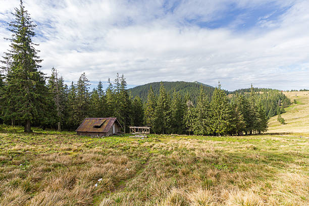 istock Hut of the shepherd on the mountain plain. Carpathians 602290888