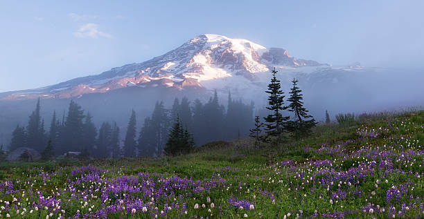 istock Mt Rainier on Foggy Morning 602293082