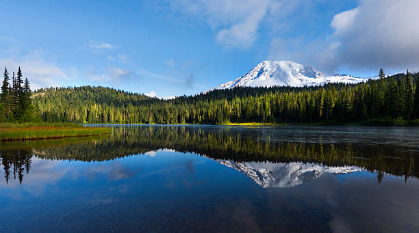 Reflection Lake in the Morning Reflection Lake with Mt Rainier reflected in the lake is of the most beautiful places in Mt Rainier NP, WA. mt rainier national park stock pictures, royalty-free photos & images