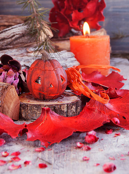 istock decorative pumpkin for Halloween with dried flowers 602293338