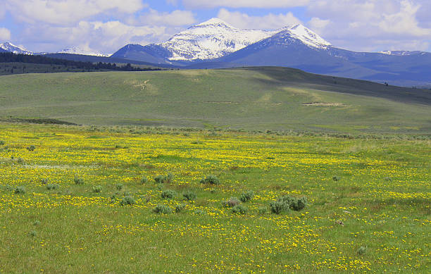 istock Mt. Pintler, Montana 602294622