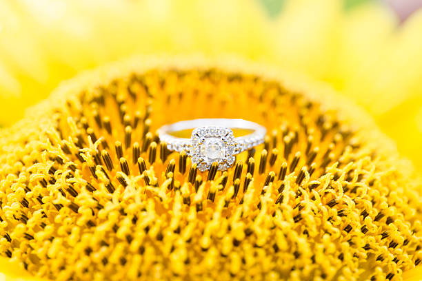 diamond ring on a sunflower - sunflower side view yellow flower imagens e fotografias de stock