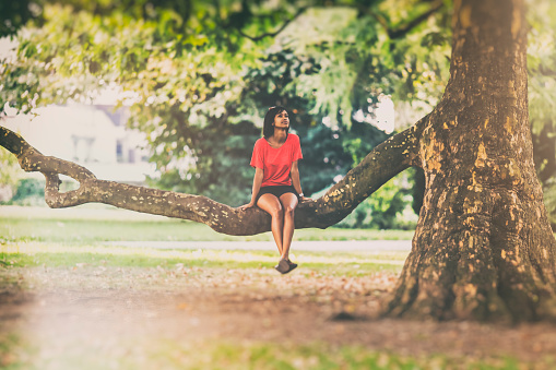 Young woman of african descent sitting on the branch of an old tree in the city park