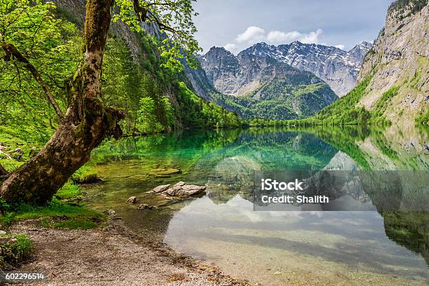 Herrliche Aussicht Auf Den Bergsee In Den Alpen Deutschland Stockfoto und mehr Bilder von Alpen