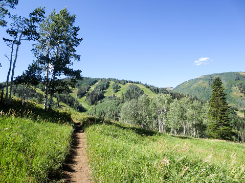 Singletrack trail through green grass prairie at Park City ski resort in the summertime.  The ski runs can be seen on a hill in the distance.  Park City, Utah is known for year round recreation.  In the summertime, trails are used by hikers and mountain bikers.