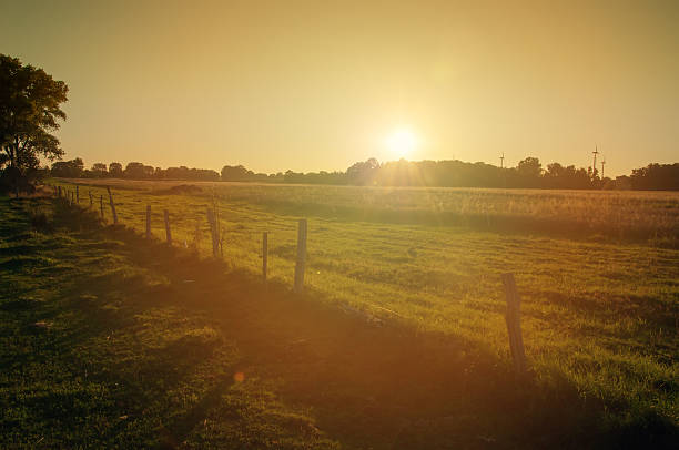 istock An image of meadow at sunset 602299020